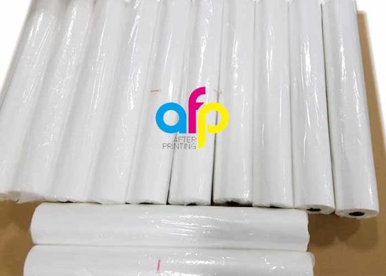 Final brillante de la película del ANIMAL DOMÉSTICO que lamina fino