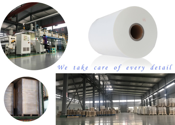 Fabricante brillante profesional principal del rollo de la laminación de la película de Matt