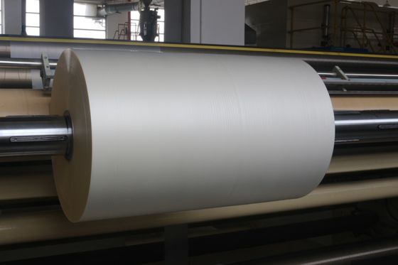 Máquina de recubrimiento y laminado de tamaño de rollo 350mm 3000m Ideal para la laminación de película BOPP EVA en la producción de envases flexibles